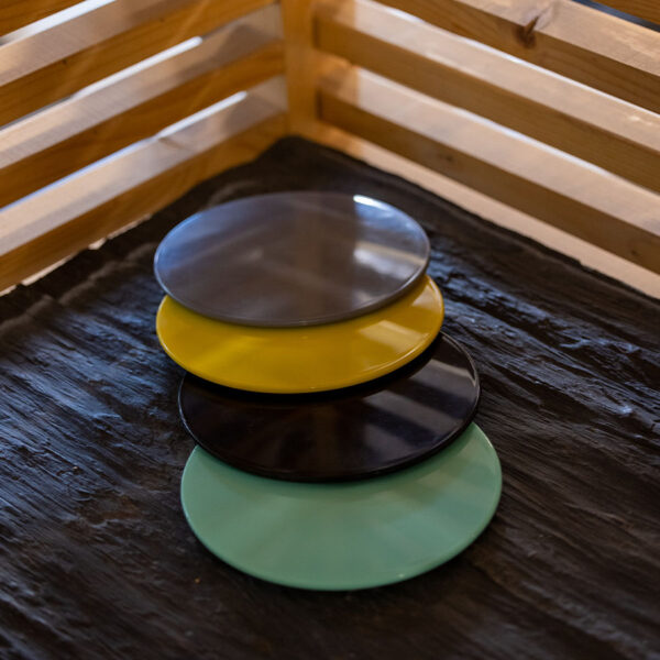 Sliding Discs human microgym